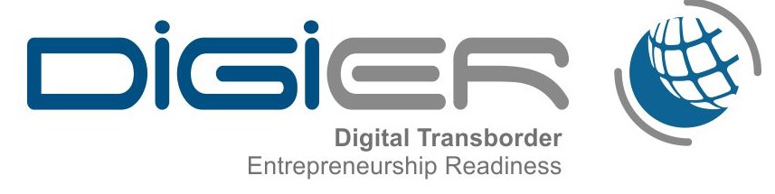 Results of the Slovenian survey Guide on Digital transborder Entrepreneurship strategies in business environment